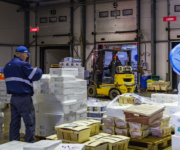 Kotra Cold store locatie