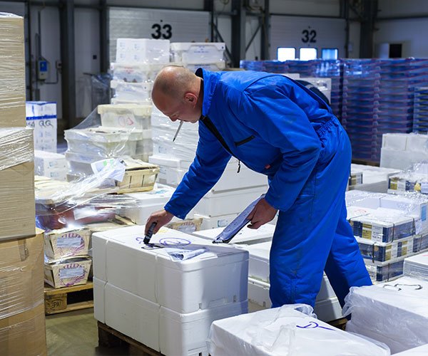 Controlle van produten voor transport